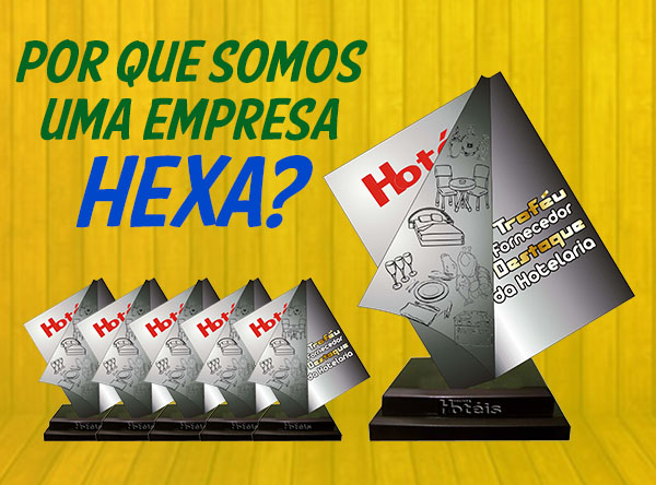 Por que a VAG é uma empresa hexacampeã?