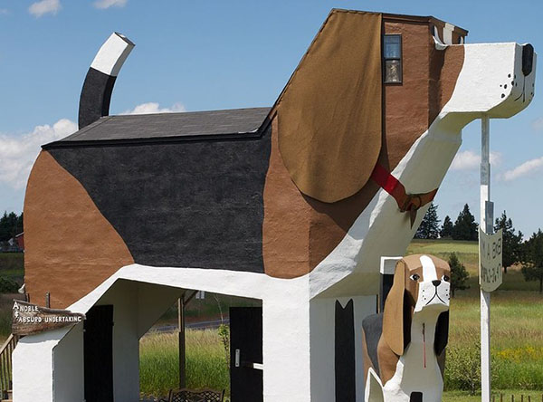 Hotel com forma de cachorro é um paraíso para quem ama pets